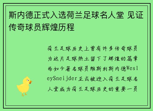 斯内德正式入选荷兰足球名人堂 见证传奇球员辉煌历程